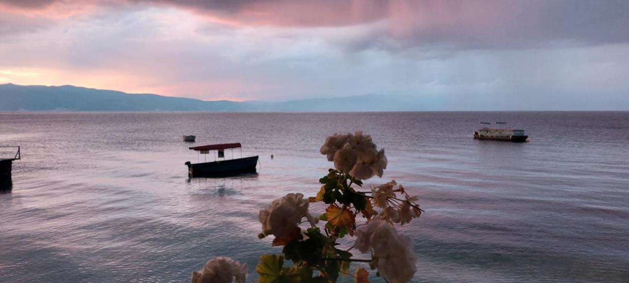 Villa Dea Ohrid Exterior foto